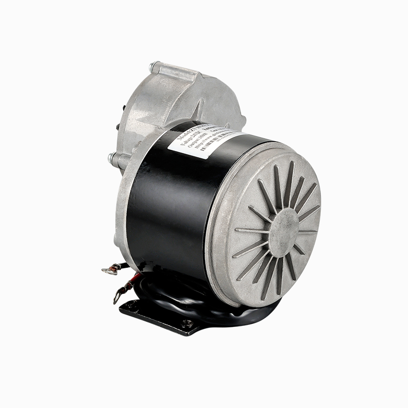 Motorreductor de CC cepillado 24V CC 350W 1016Z