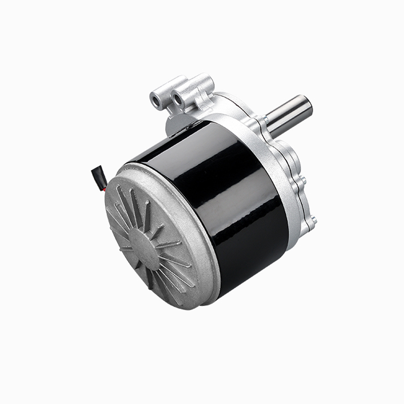 ZY1016L7 Motor de cepillo para silla de ruedas eléctrica de baja velocidad